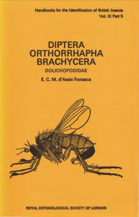 Diptera - Orthorrhapha Brachycera. Dolichopodidae. - Royal 