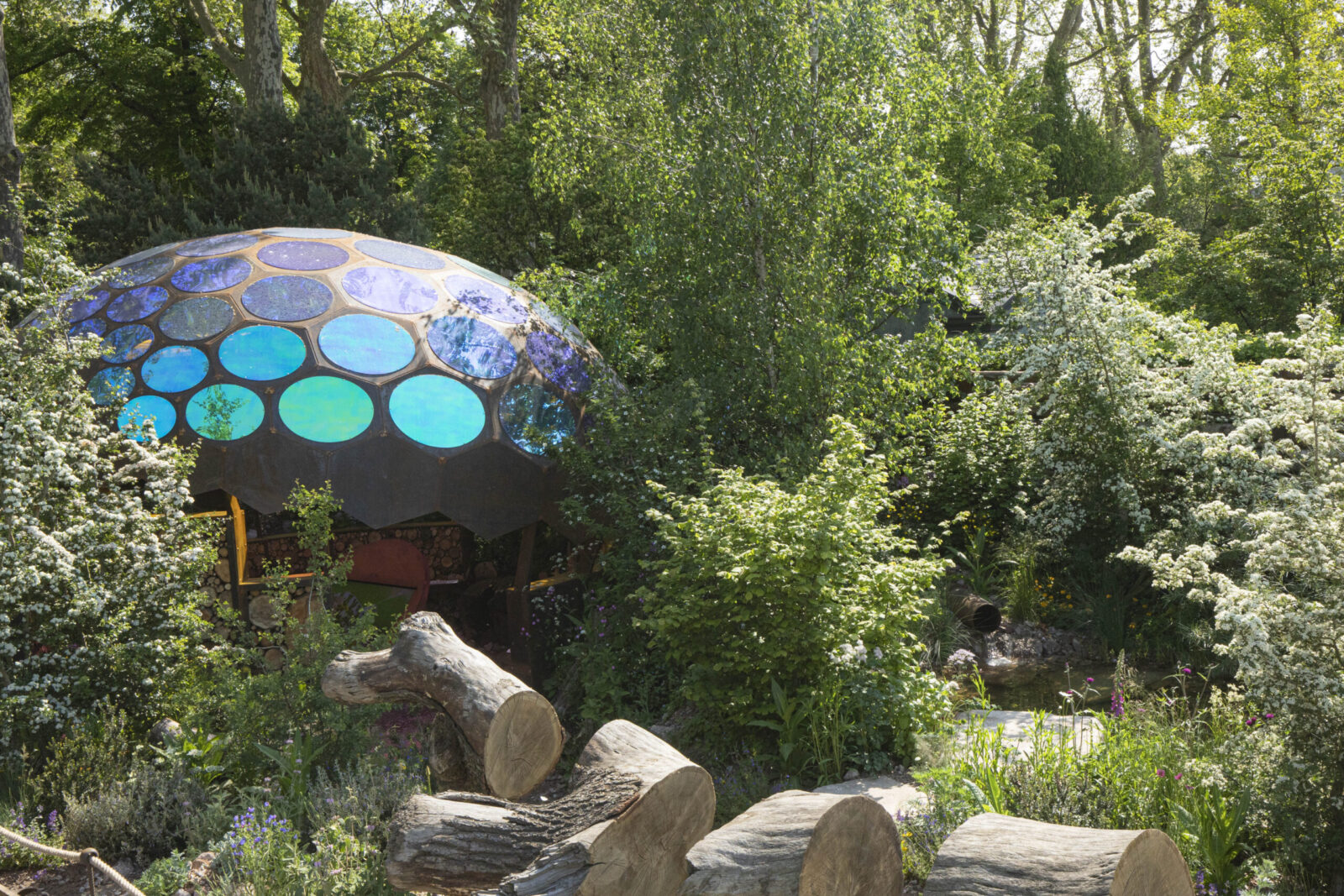 The Insect Garden at Stratford Cross is a haven for insects to live, eat and thrive.
