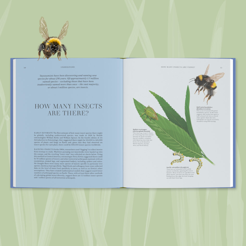 How many insects are there? A teaser page from the new RES Insects book featuring images of a Buff-tailed bumblebee, Buffalo treehopper and Sawfly caterpillars.