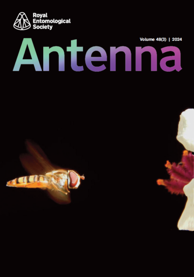 Antenna Volume 48 (3) 2024 cover