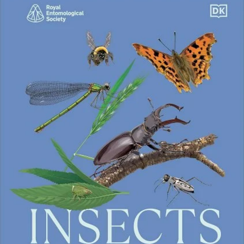 News headline thumbnail for RES Insects: Discover the Science and Secrets Behind the World of Insects