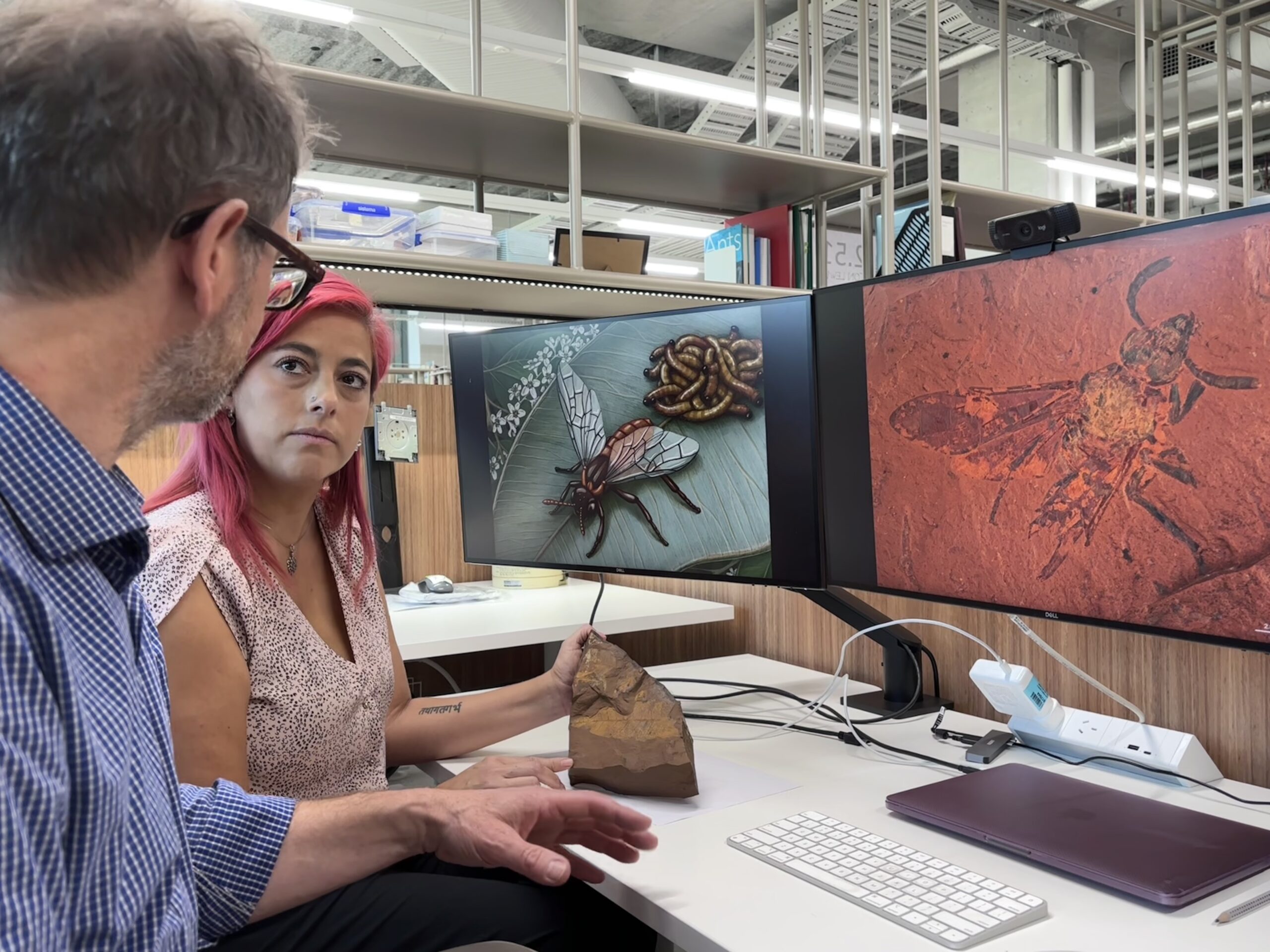 CSIRO research scientist Dr Juanita Rodriguez and Dr Michael Frese, from the University of Canberra. © Jon Lewis, CSIRO