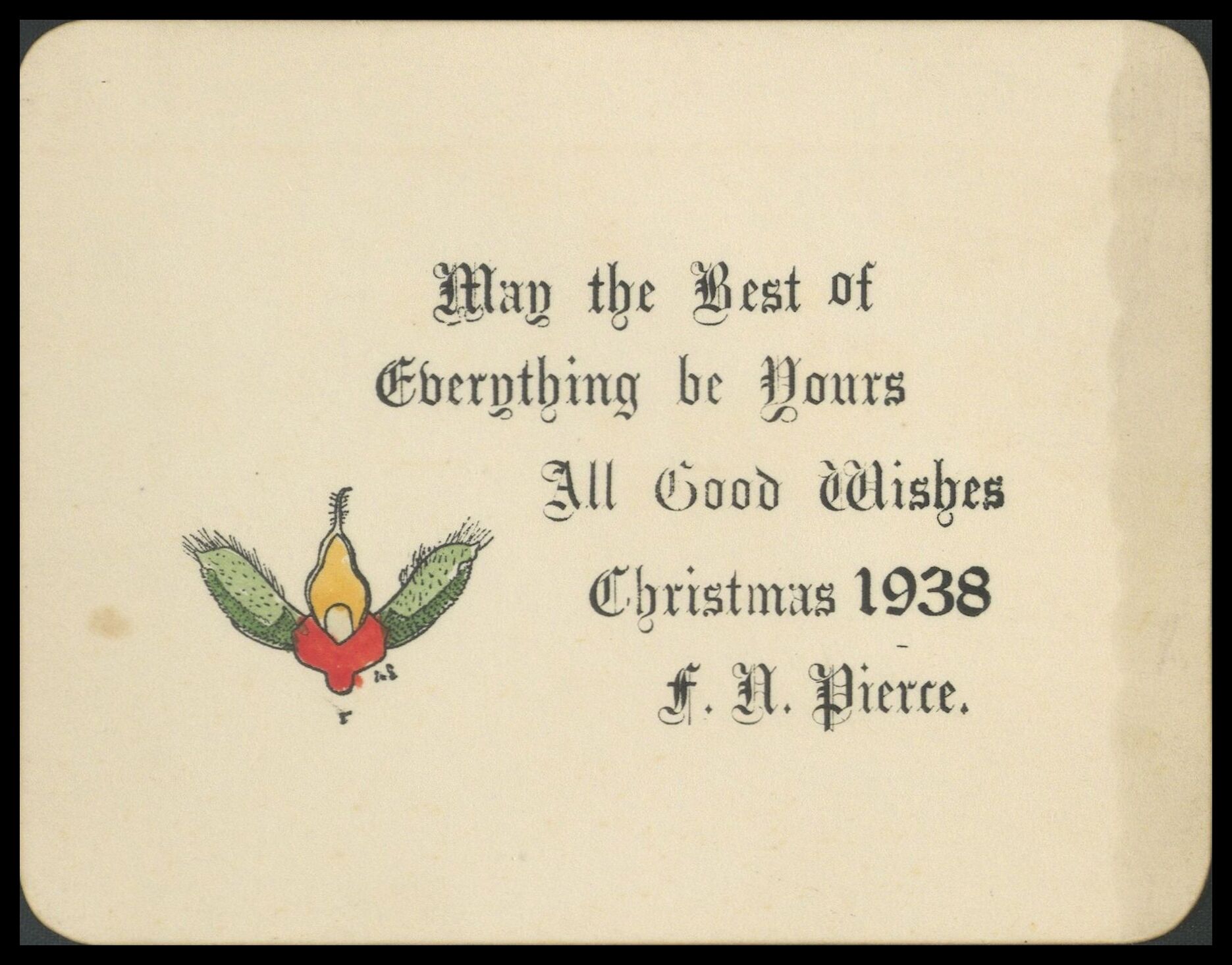 Frank Nelson Pierce, 1862 – 1943 Library Christmas Cards - Category Genitalia: 1938 Lepidoptera genitalia illustrated in festive colours.