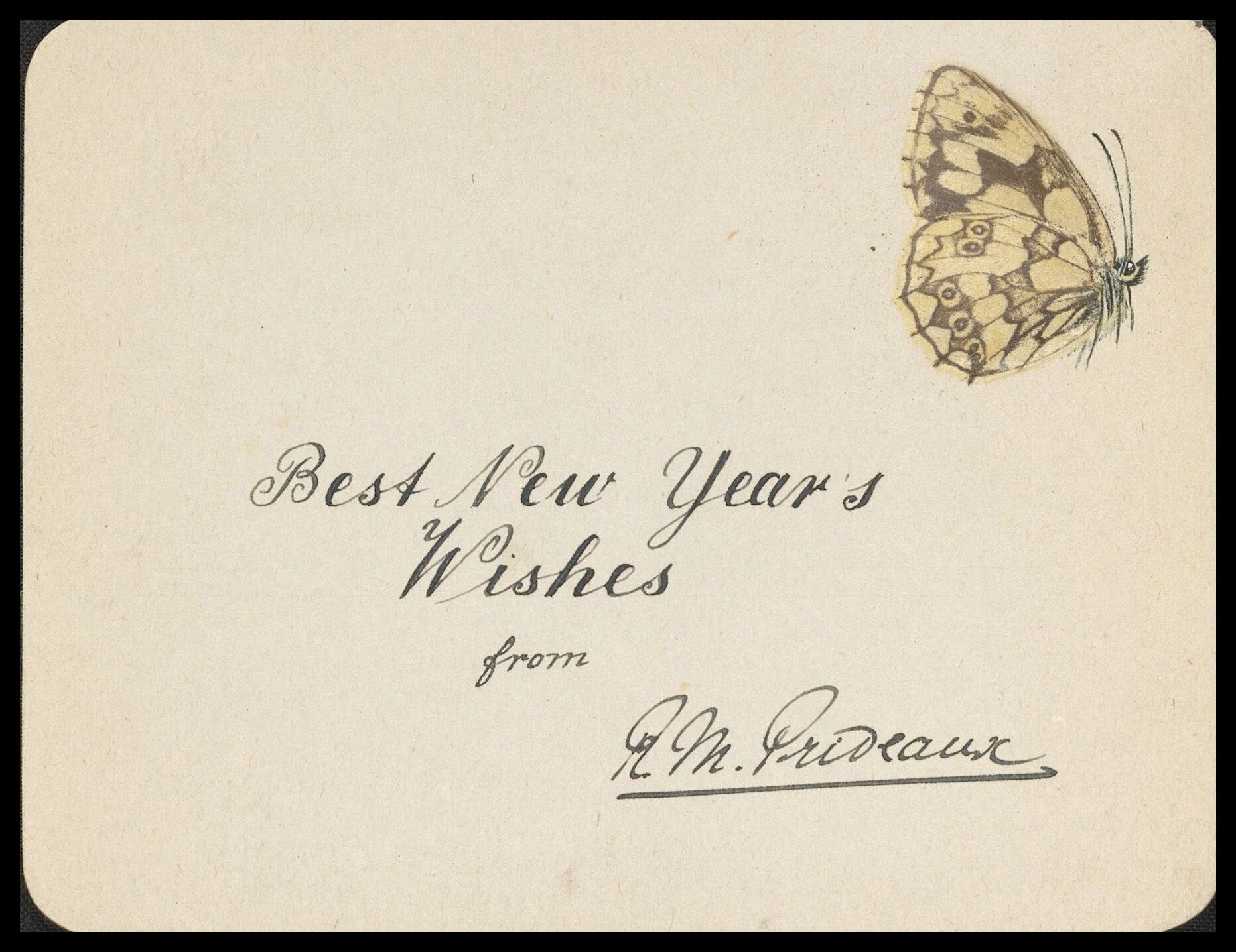 Frank Nelson Pierce, 1862 – 1943 Library Christmas Cards - Category New Years Cards - 1900s New Years card featuring an example of Lepidochromy, prints made from real butterflies, made by placing the wings of a Marbled White butterfly between sheets of paper, one side gummed, and applying pressure, with the antenna and body drawn in later. Sent by Robert Maxwell Prideaux.