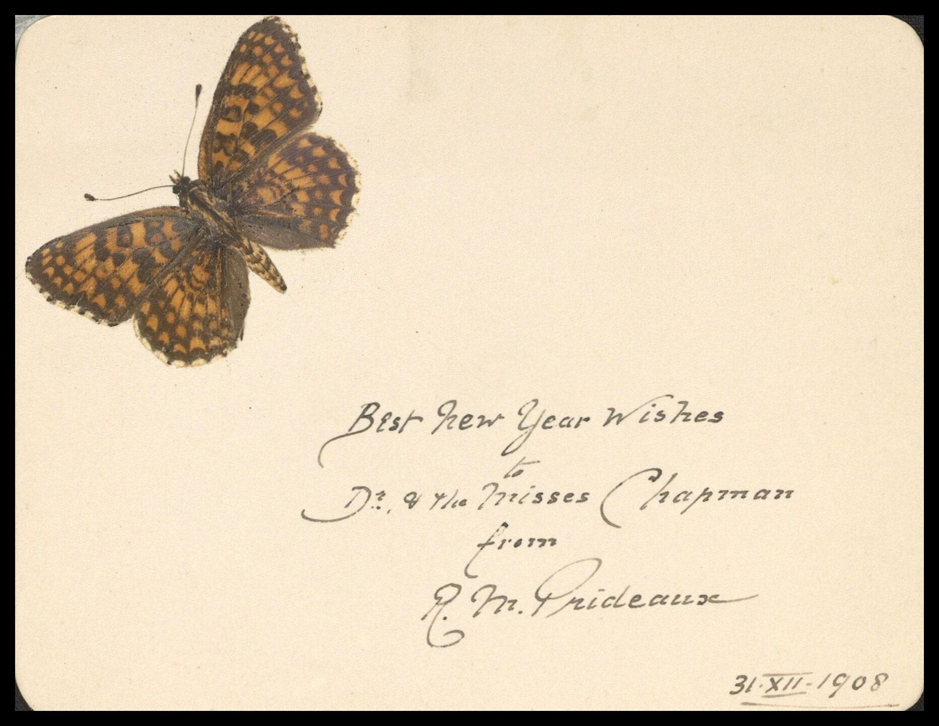 Frank Nelson Pierce, 1862 – 1943 Library Christmas Cards - Category New Years Cards - 1908 This unusual New Years Card shows an unusual type of printing: Lepidochromy, prints made from real butterflies, in this case the heath fritillary butterfly, Melitaea athalia. The wings are placed between sheets of paper, and pressure applied to produce an image, with the antenna and body drawn in later. Sent by Robert Maxwell Prideaux, to Thomas Algernon Chapman and his sisters Emily and Laura.