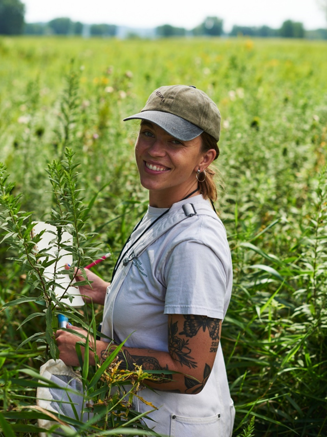 Journal Award Winner, Volume 16, 2023: Lindsey Kemmerling Butterfly biodiversity increases with prairie strips and conservation management in row crop agriculture