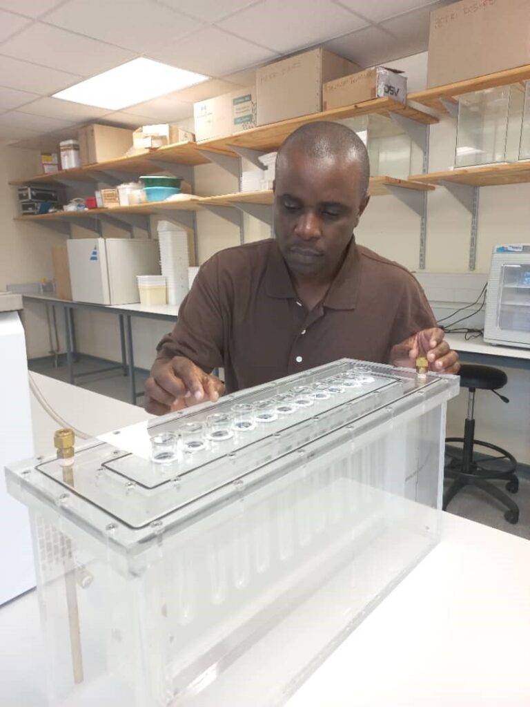 Reyard Mutamiswa in his lab