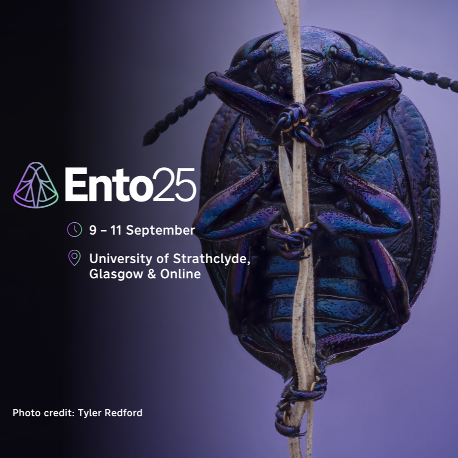 Ento25 advert featuring a violet ground beetle