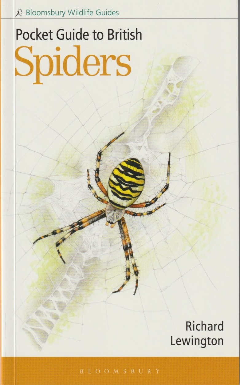 Pocket Guide to Spiders cover