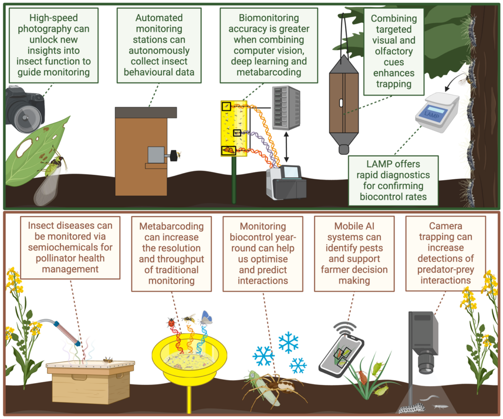 An overview of the advances in insect biomonitoring highlighted across the special issue