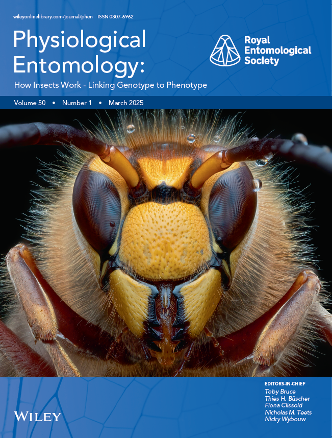 Physiological Entomology cover featuring a European hornet, Vespa crabro, found resting from the rain in late October. Photo by Pete Burford. This photo was Specially Commended in the RES annual photography competition