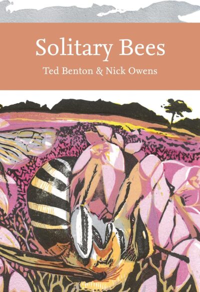 Cover image of Solitary Bees